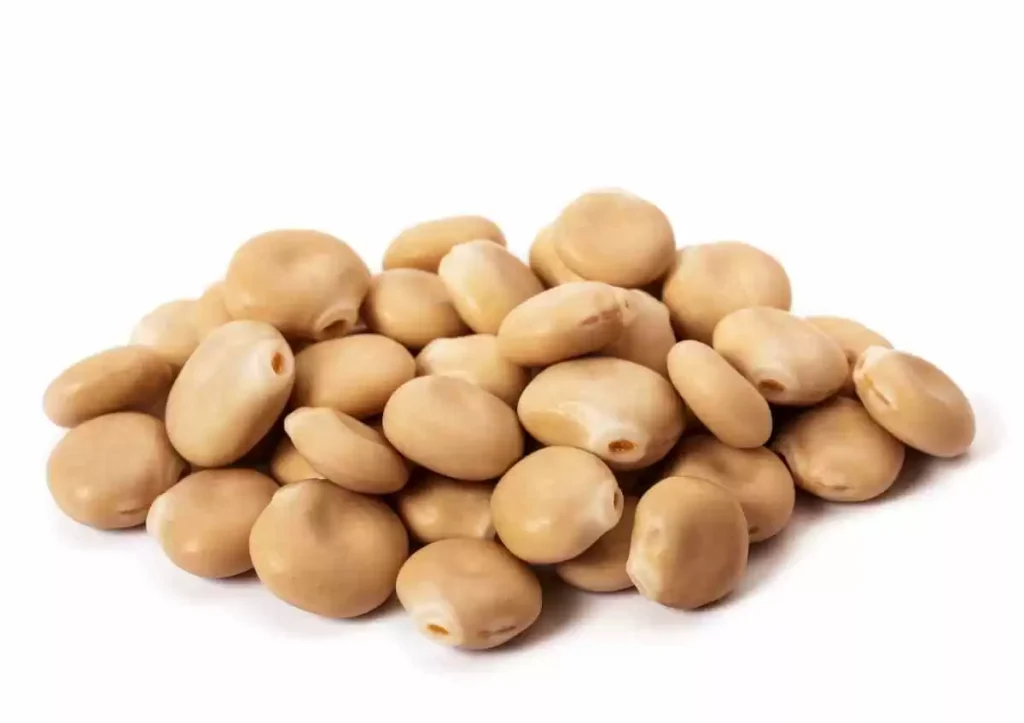  Acı Bakla ve Acı Bakla Ürünleri Kod:10