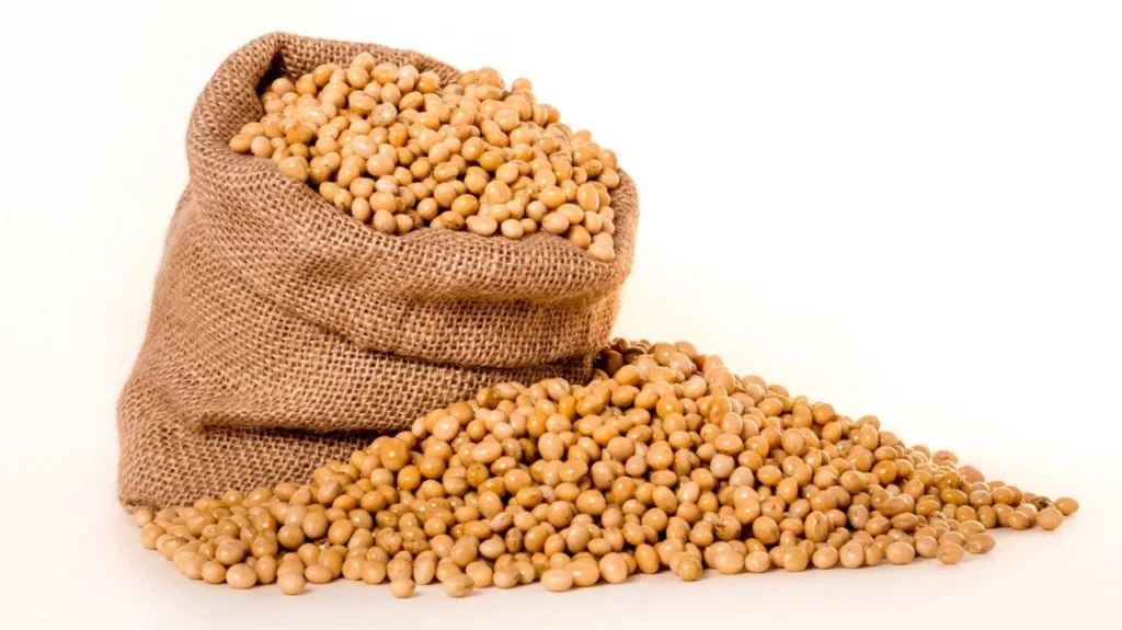  Soya Fasülyesi ve Soya Fasülyesi Ürünleri Kod:8